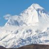 Tragedy on Dhaulagiri: Five Russian Climbers Fall to Death Amid Alarming Warnings from Fellow Mountaineers