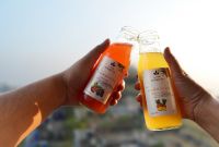 Hard Kombucha: The Health Drink That Packs a Buzz – But Is It Too Good to Be True?